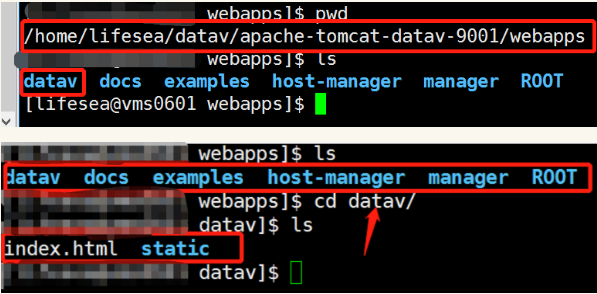 新建项目的文件夹:datav放置index.html