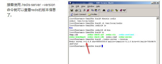 linux查看redis版本