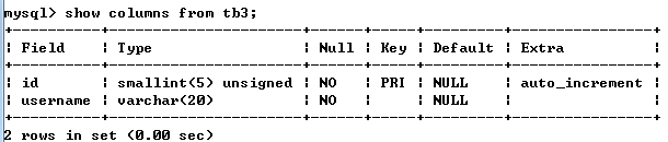 mysql数据库建表的完整步骤